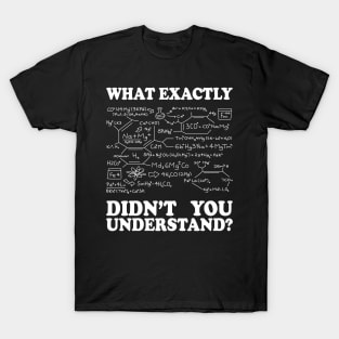 What Exactly Didn't You Understand? T-Shirt